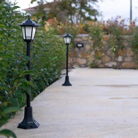 فيلة Berlie Keramiaí